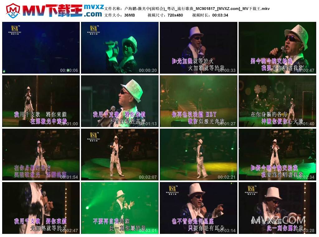 卢海鹏-激光中(演唱会)_粤语_流行歌曲_MC901817